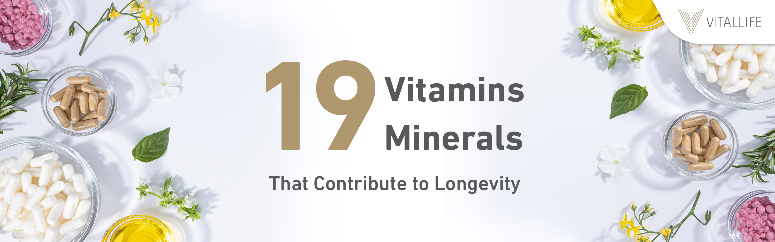 19 Vitamins and Minerals That Contribute To Longevity